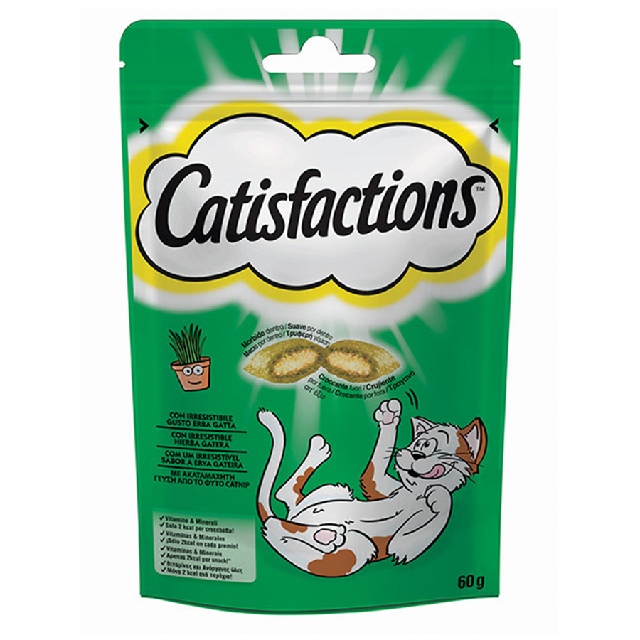 CATISFACTION-CATNIP-60gr-KTINIATRIKOSKOSMOS.GR