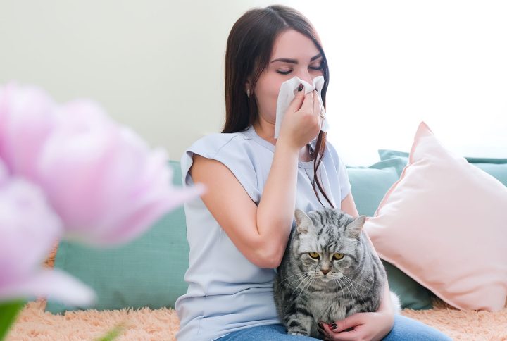 Αλλεργία στις Γάτες: Πώς θα την αντιμετωπίσεις