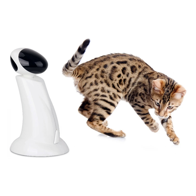 AFP ΠΑΙΧΝΙΔΙ ΓΑΤΑΣ LASER