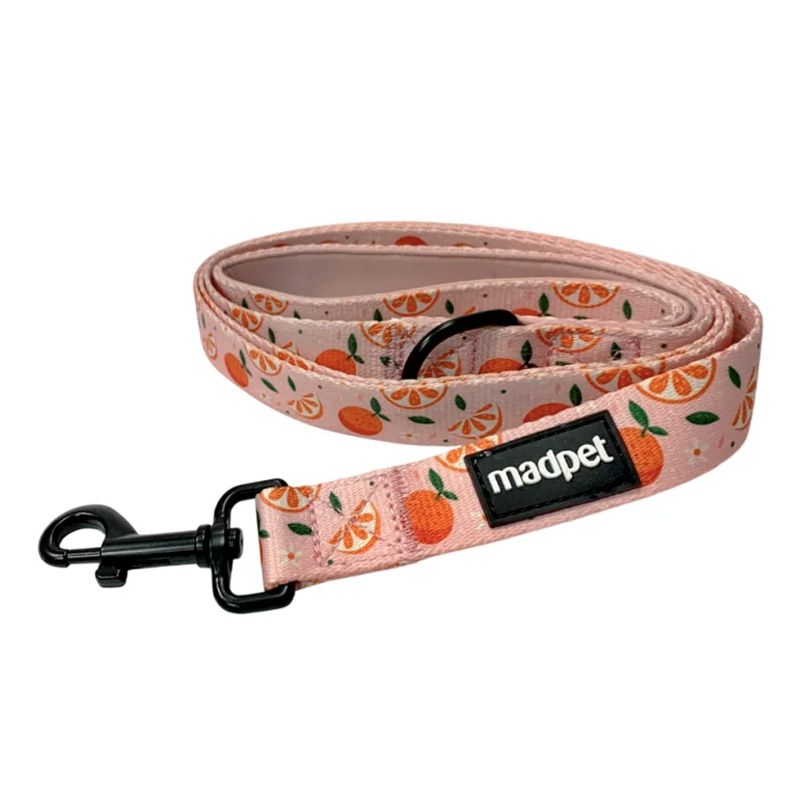 MADPET ΟΔΗΓΟΣ MANDARIN