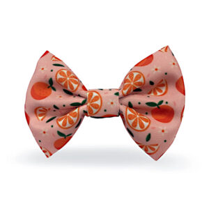 MADPET ΠΑΠΙΓΙΟΝ MANDARIN 6x9cm