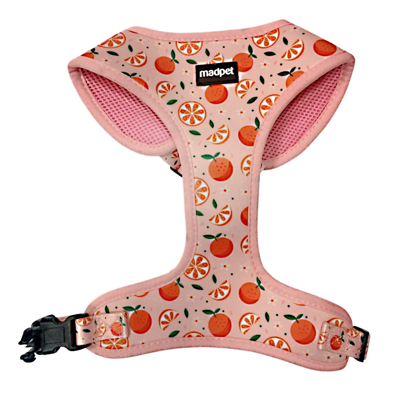 MADPET ΠΕΡΙΣΤΗΘΙΟ MANDARIN