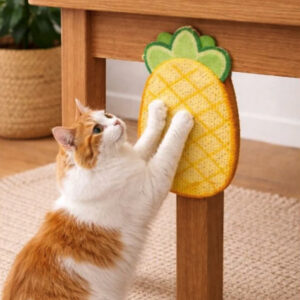 CUBA NIGHTS CAT SCRATCHER 50x80cm