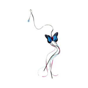 KONG TEASER BUTTERFLY