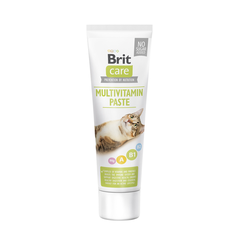 BRIT CARE CAT PASTE MULTIVITAMIN 100gr